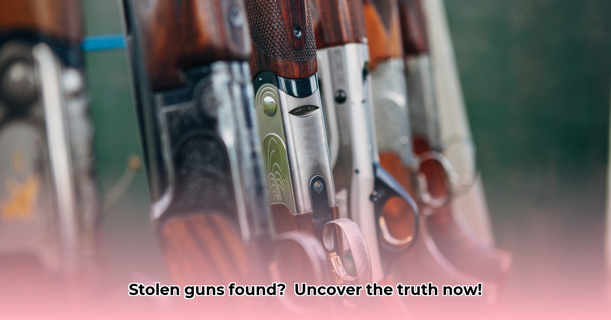 hotgunz-search
